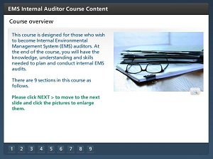 EMS Internal Auditor Course Content